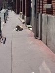 IMG_8980.jpeg